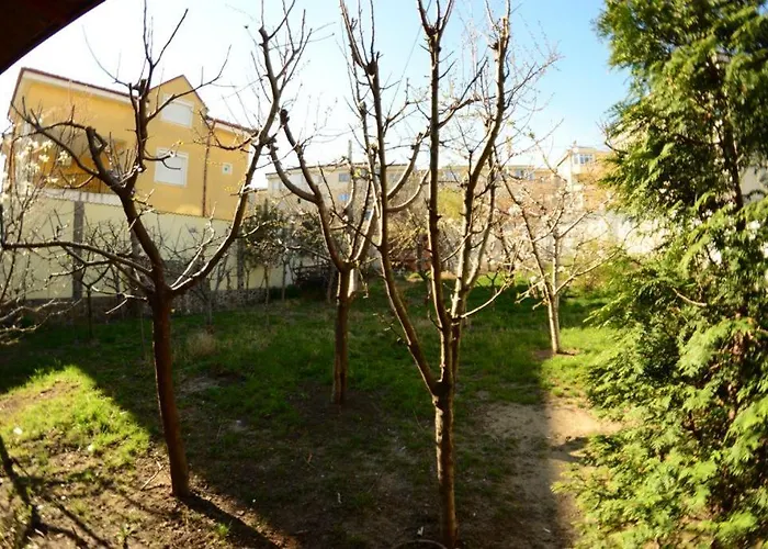 Penzion Flormang Craiova